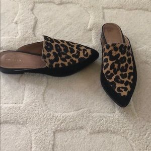 COPY - Halogen mules